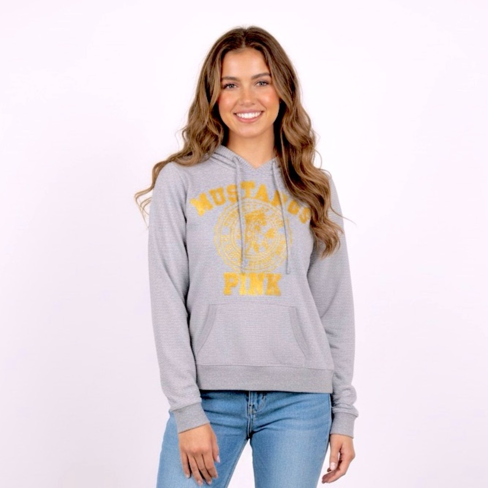 Women’s PINK Victorias Secret Hoodie